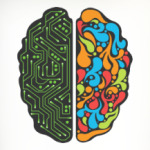 Левое и Правое полушария Мозга