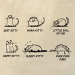 Песня Шелдона и Пенни Soft kitty