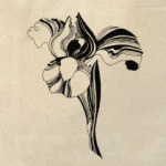 Прекрасный ирис