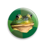  Жаба Холостяк