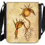 Парящие соравы