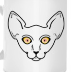 Кот смотрит на тебя