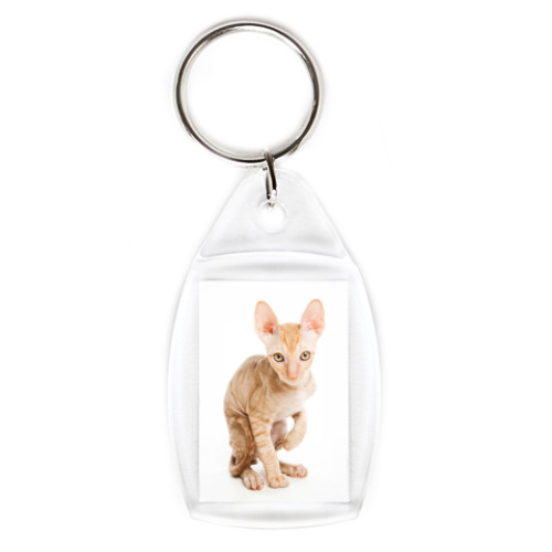 Брелок с принтом Котики-котята