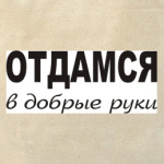Отдамся в добрые руки