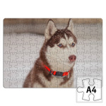 Собака Хаски