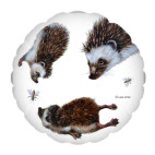 Любопытные ежики