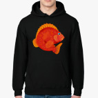 Толстовка худи