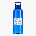 Прозрачная спортивная бутылка