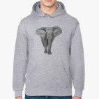 Толстовка худи