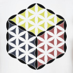 Цветок Жизни (Flower of life)