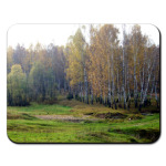 Лес