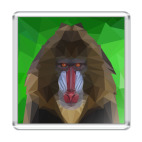 Обезьяна мудрый мандрил