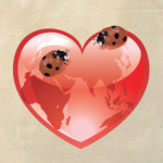  Божьи коровки