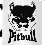 PITBULL