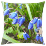 'Весенние цветы'