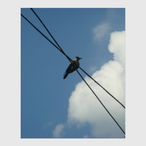 Постер с принтом Ворона