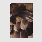 Перья