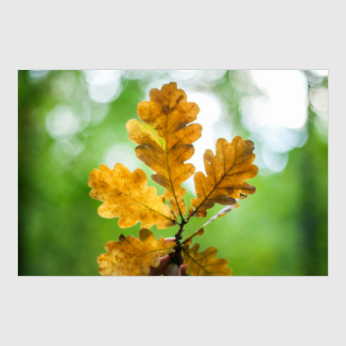 Постер с принтом Листики