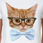 Кот в очках и бабочке