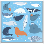 Ластоногие