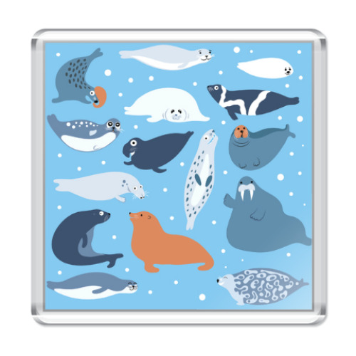 Магнит с принтом Ластоногие