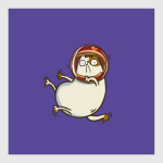 Астрокот (№26)