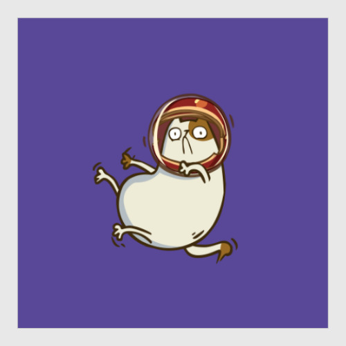 Постер с принтом Астрокот (№26)