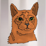 Голова кота