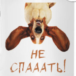 Собака бодрости