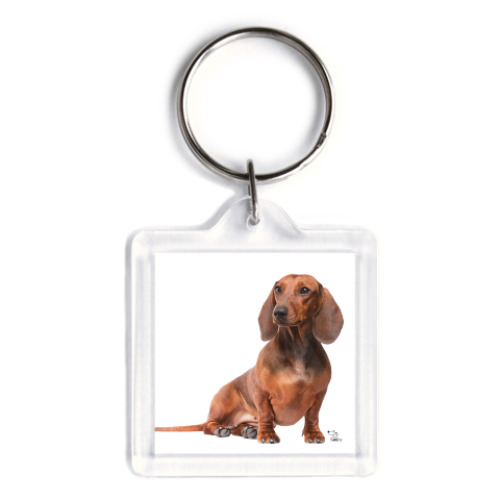 Брелок с принтом Такса