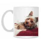 Собачка по имени Филя