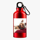 Металлическая бутылка 400 мл UV-DTF