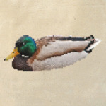 Пиксельная утка