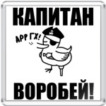  'Капитан воробей!'