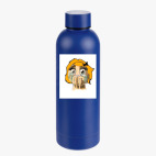 Термобутылка