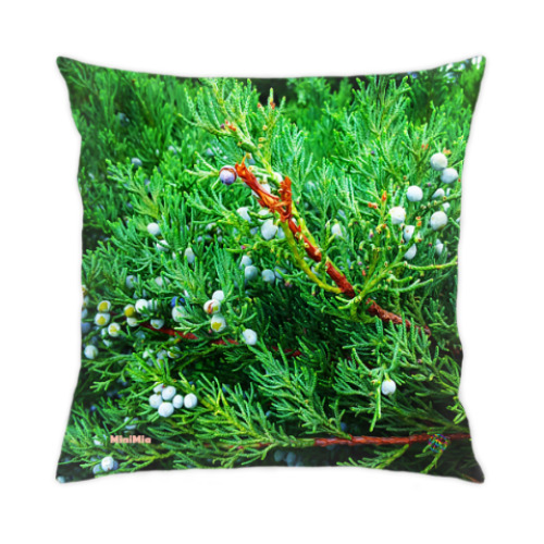 Подушка с принтом Можжевельник