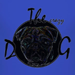 The Crazy Dog