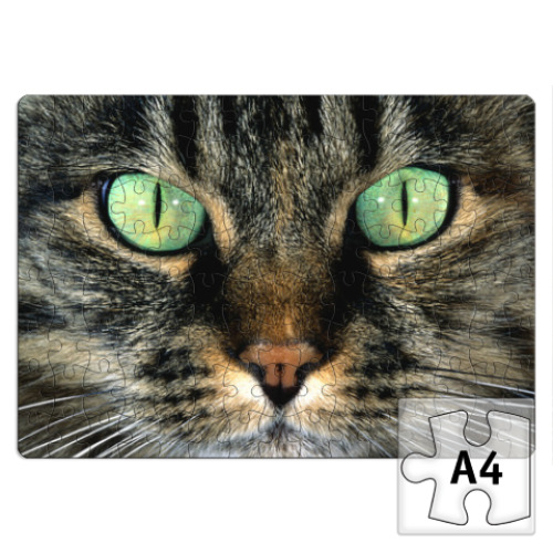 Пазл с принтом Кот с зелеными глазами