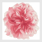 Постер 20 х 20 см Акварель