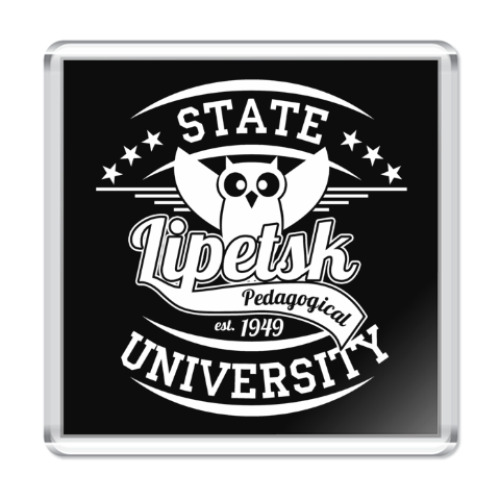 Магнит с принтом LSPU Owl