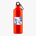 Металлическая бутылка 700 мл UV-DTF