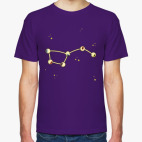 Большая Медведица | Ursa Major