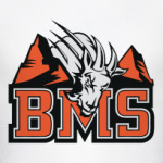 BMS