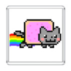  NyanCat