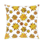 Осенние астры