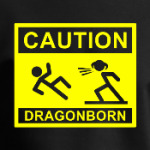 Caution ! Dragonborn . Skyrim