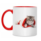 Новогодние котята
