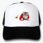 Кепки Trucker