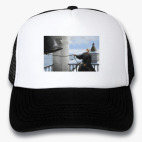 Кепки Trucker