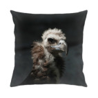 Подушка 35x35 см Птица